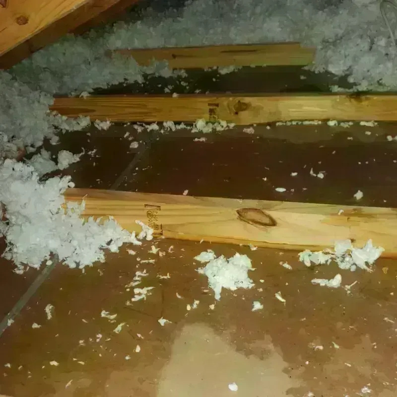 Attic Water Damage in North Scituate, RI